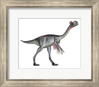 Gigantoraptor dinosaur, white background Fine Art Print