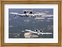 Two A-10C Thunderbolt aircraft near Moody Air Force Base, Georgia Fine Art Print