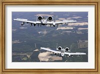 Two A-10C Thunderbolt aircraft near Moody Air Force Base, Georgia Fine Art Print