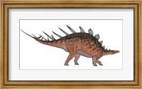 Kentrosaurus dinosaur, white background Fine Art Print