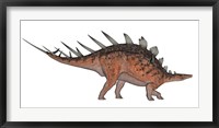 Kentrosaurus dinosaur, white background Fine Art Print