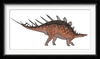 Kentrosaurus dinosaur, white background Framed Print
