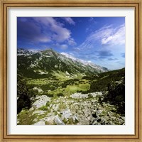 A green valley through Pirin Mountains, Pirin National Park, Bulgaria Fine Art Print