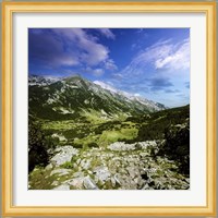 A green valley through Pirin Mountains, Pirin National Park, Bulgaria Fine Art Print