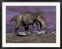 Aggressive Tyrannosaurus Rex dinosaur walking in the desert Fine Art Print