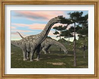 Argentinosaurus dinosaur grazing on treetops Fine Art Print