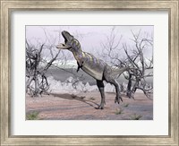 Aucasaurus dinosaur roaring in the desert Fine Art Print