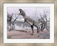 Aucasaurus dinosaur roaring in the desert Fine Art Print