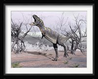 Aucasaurus dinosaur roaring in the desert Framed Print