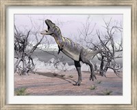 Aucasaurus dinosaur roaring in the desert Fine Art Print