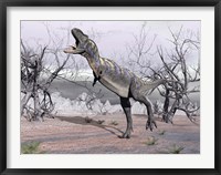 Aucasaurus dinosaur roaring in the desert Framed Print
