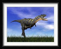 Aucasaurus dinosaur running in the grass Framed Print