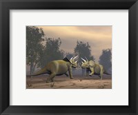 Confrontation between two Triceratops Fine Art Print
