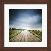 Country road through fields, Denmark Fine Art Print
