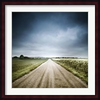 Country road through fields, Denmark Fine Art Print