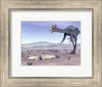 Female Gigantoraptor dinosaur walking to its nest full of eggs Fine Art Print
