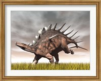 Kentrosaurus dinosaur running on the yellow grass Fine Art Print