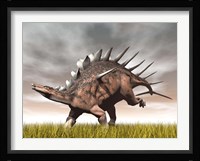 Kentrosaurus dinosaur running on the yellow grass Framed Print