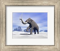 Large mammoth walking slowly on the snowy mountain Fine Art Print