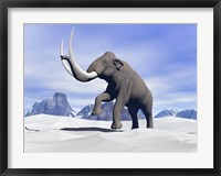 Large mammoth walking slowly on the snowy mountain Fine Art Print