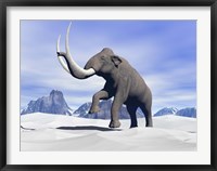 Large mammoth walking slowly on the snowy mountain Fine Art Print