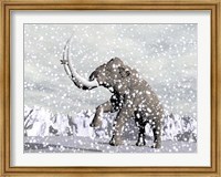 Mammoth walking through a blizzard on mountain Fine Art Print