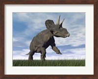 Nedoceratops dinosaur grazing in grassy field Fine Art Print