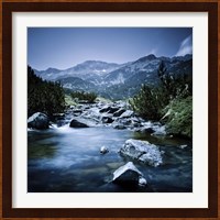 Small river flowing through the mountains of Pirin National Park, Bulgaria Fine Art Print