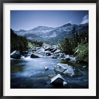 Small river flowing through the mountains of Pirin National Park, Bulgaria Fine Art Print