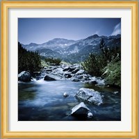 Small river flowing through the mountains of Pirin National Park, Bulgaria Fine Art Print