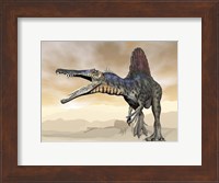 Spinosaurus dinosaur roaring in the desert Fine Art Print
