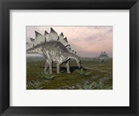 Stegosaurus dinosaurs grazing on plants Fine Art Print