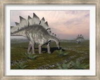 Stegosaurus dinosaurs grazing on plants Fine Art Print