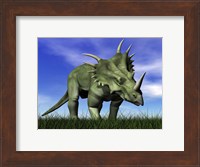 Styracosaurus dinosaur walking in the grass Fine Art Print