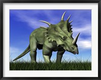 Styracosaurus dinosaur walking in the grass Fine Art Print