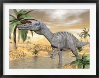 Suchomimus dinosaur walking in the water in desert landscape Fine Art Print