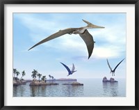 Three pteranodons flying over landscape with hills, palm trees and water Fine Art Print