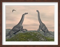 Two Brachiosaurus dinosaurs fighting Fine Art Print