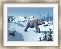Two large mammoths walking slowly on the snowy mountain Fine Art Print