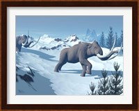 Two large mammoths walking slowly on the snowy mountain Fine Art Print