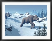 Two large mammoths walking slowly on the snowy mountain Fine Art Print