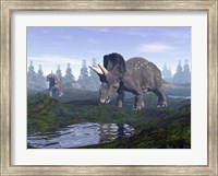 Two Nedoceratops dinosaurs walking to water puddle in the morning light Fine Art Print