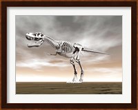 Tyrannosaurus rex skeleton Fine Art Print