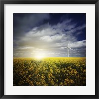 Wind turbine in a canola field against cloudy sky at sunset, Denmark Fine Art Print