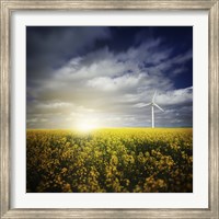 Wind turbine in a canola field against cloudy sky at sunset, Denmark Fine Art Print