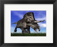 Zuniceratops dinosaur running in the grass Fine Art Print