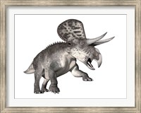 Zuniceratops dinosaur, white background Fine Art Print