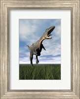 Aucasaurus dinosaur running on the green grass with mouth open Fine Art Print