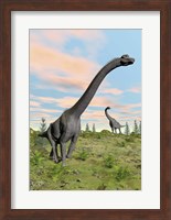 Two brachiosaurus dinosaurs in a prehistoric environment Fine Art Print