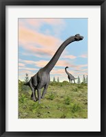 Two brachiosaurus dinosaurs in a prehistoric environment Fine Art Print